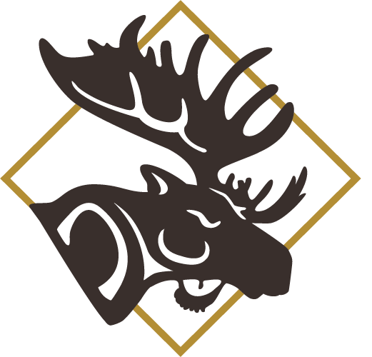 Moose Hide Campaign