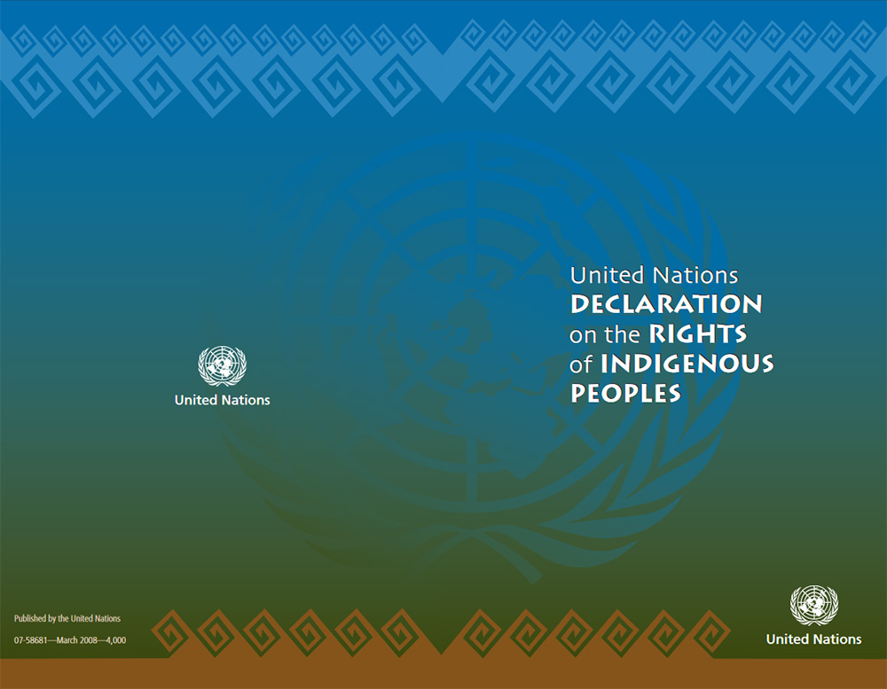 United Nations Declaration on the Rights of Indigenous Peoples